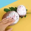 Erizo Realista Juguete Antiestrés Squishy