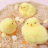 Squishy Pollito Esponjoso Y Peludito. Ultrasuave.